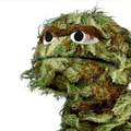 HD Grouch