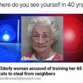 -Elderly Women accused of training her 65 cats to steal!-
