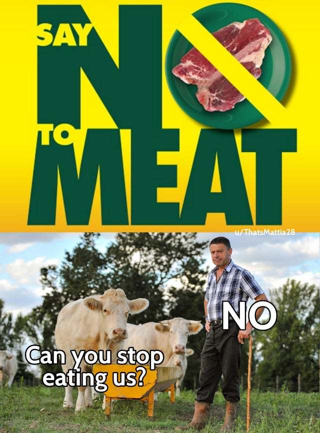 Say no to meat - meme