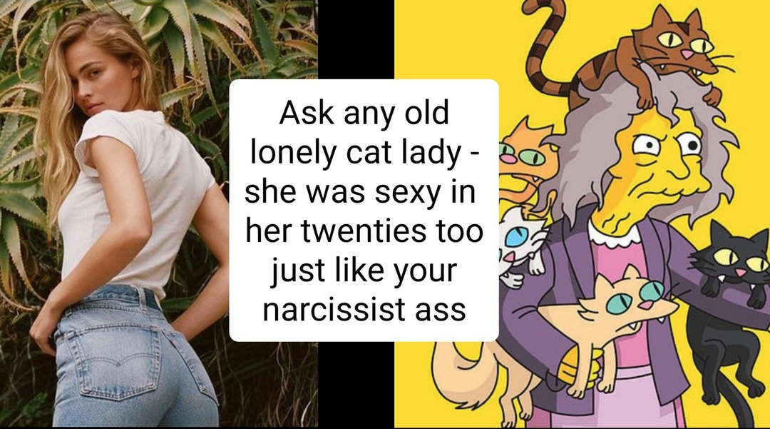 Future cat lady - meme