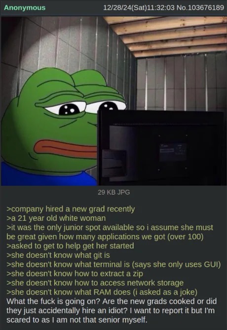 hiring programmers - meme