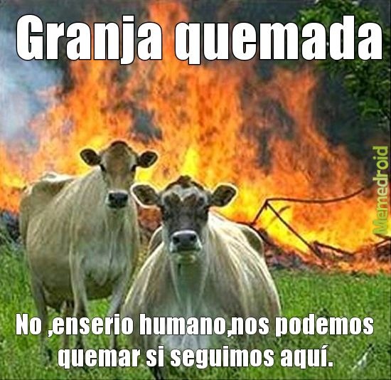 Introduciendole la lagartija al meme