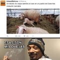 Snoop dog :v