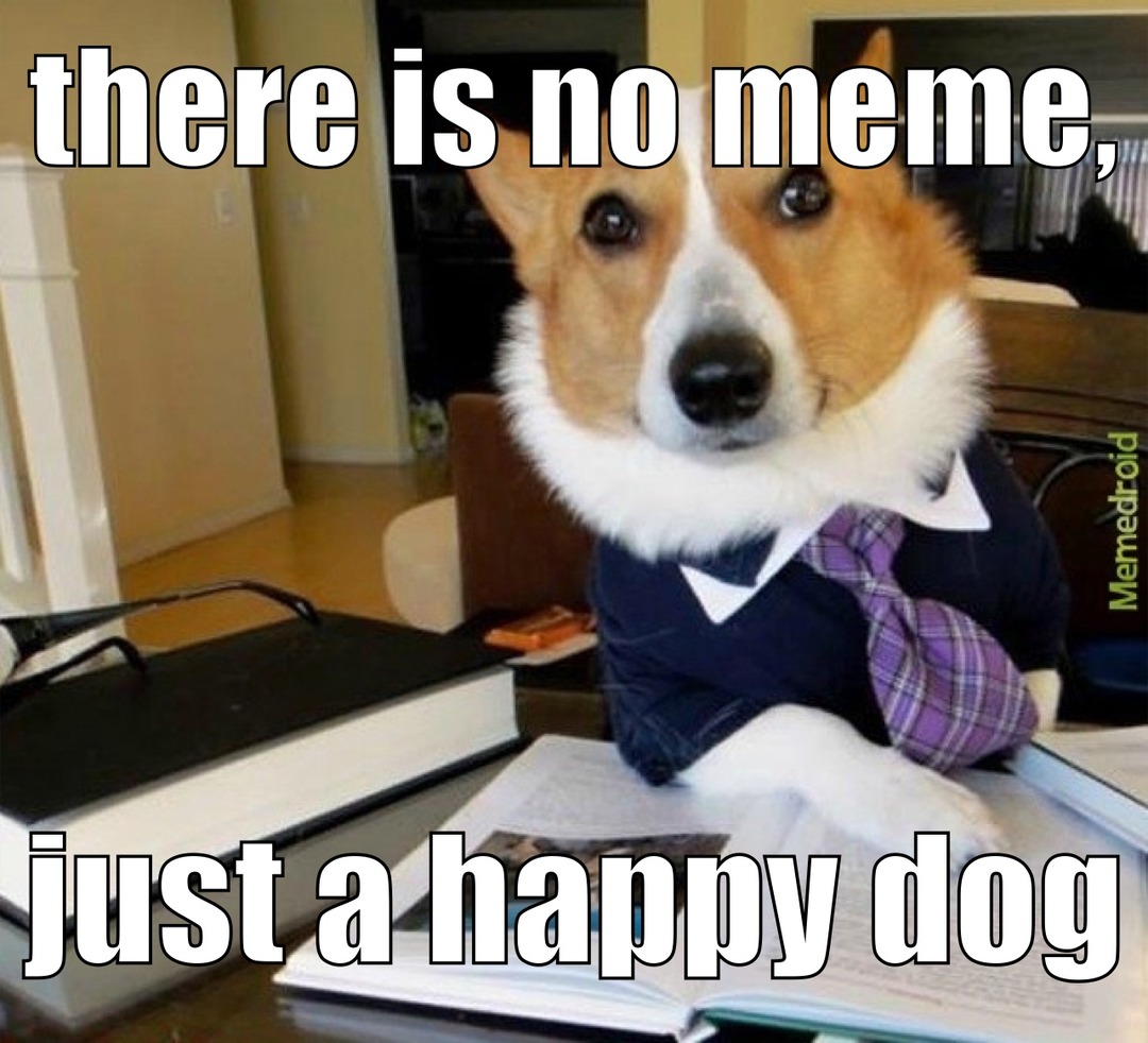Just a dog… - meme