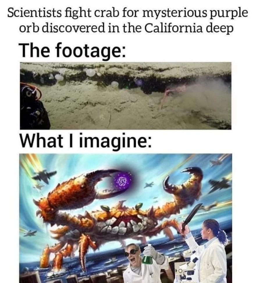 The best California memes ) Memedroid