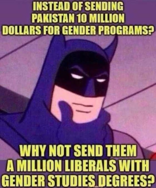Gender Studies Exchange Program - meme