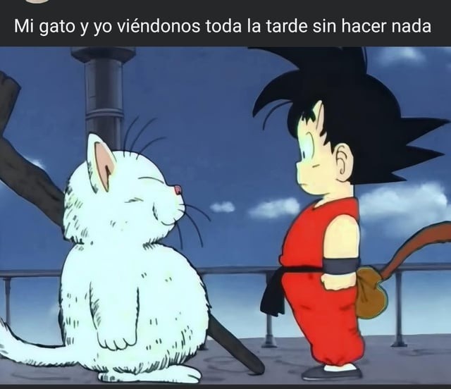 Yo y mi gato mirándonos todo el día sin hacer nada - meme
