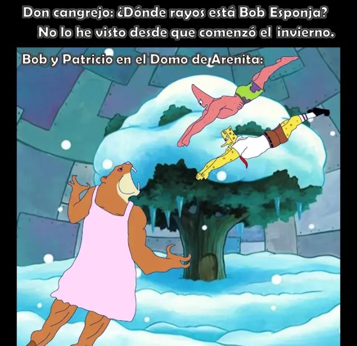 Bobes ponja - meme