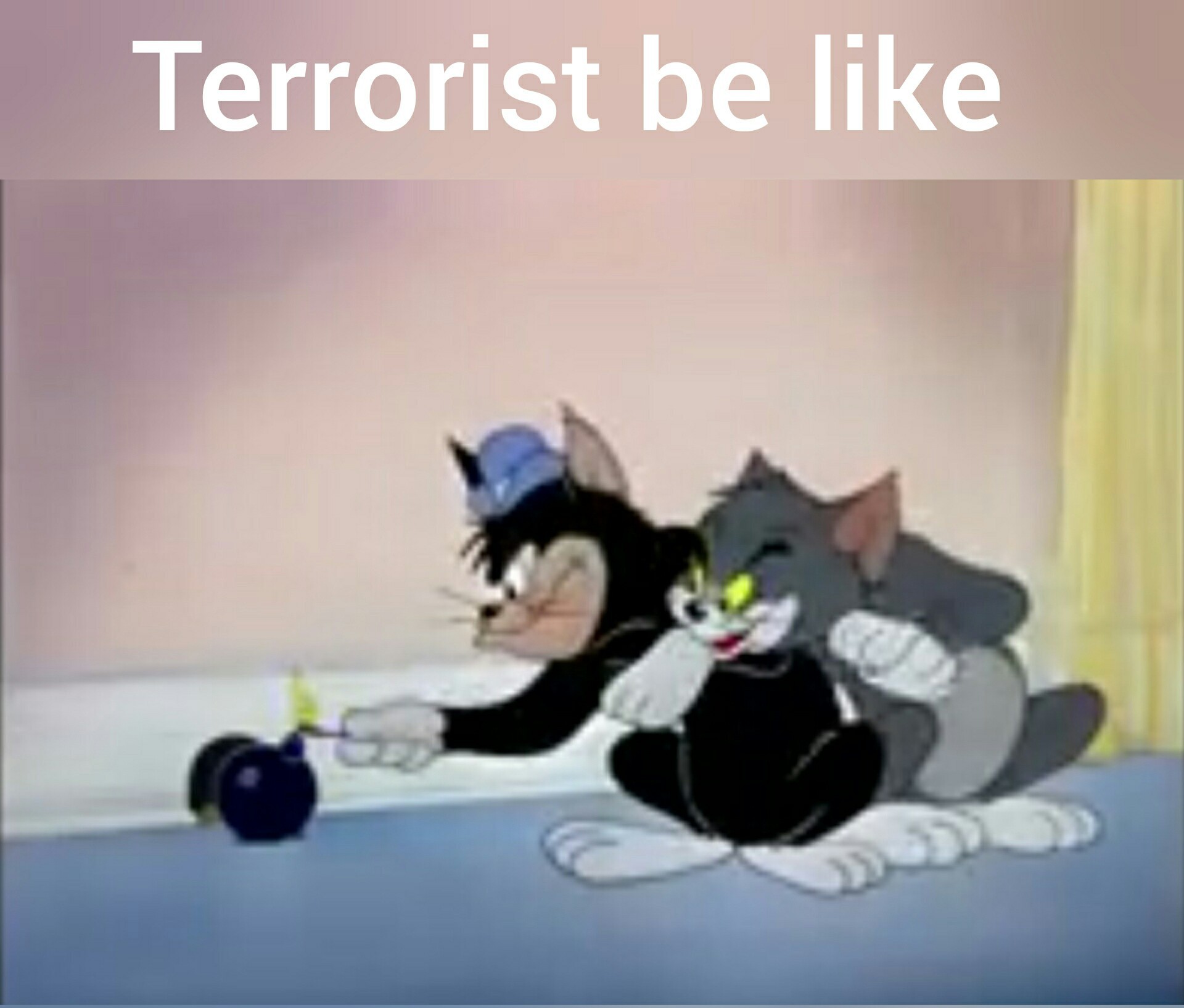 Cosas de terrorista - meme