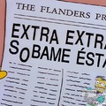 The Flanders press