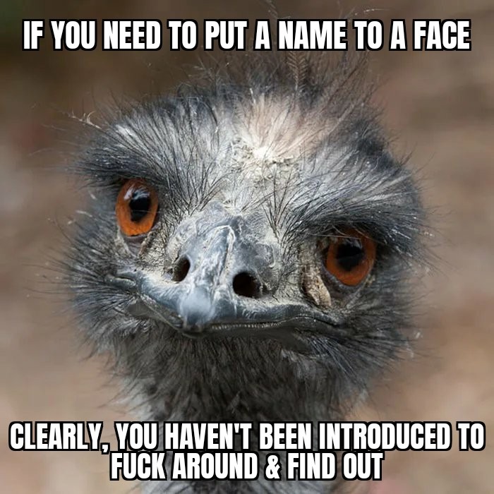 The Great Emu incident - meme
