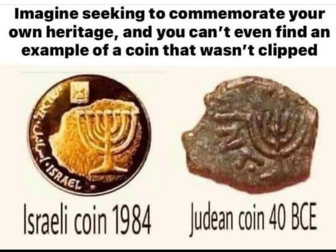 dongs in a coin - meme