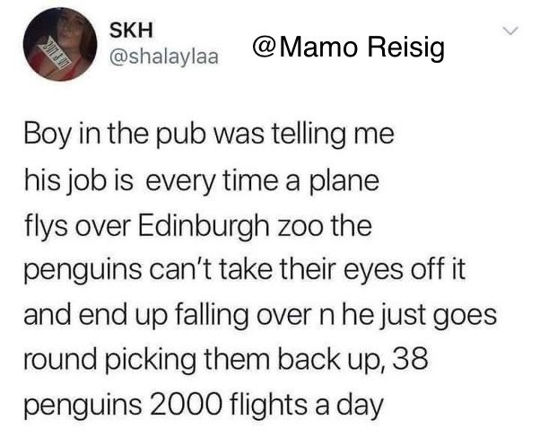 Edinburgh Zoo - meme