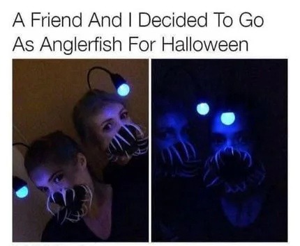 Went as anglerfish for Halloween and scared everyone at the party - meme