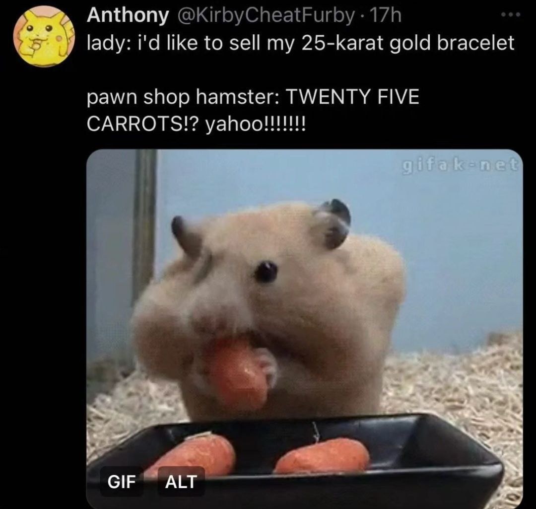 Pawn shop hamster misunderstood the assignment - meme