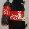 posted by Reddit user: yudoit     caption: A 5 liter Coke
