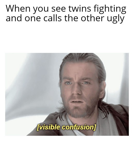 When you see twins fighting and one calls the other ugly - meme