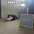 The chonk has a podcast with another cat named Moe! Moerdecai memes coming soon