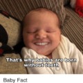 Baby fact