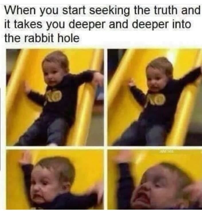 Rabbit hole - meme