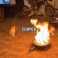 Science