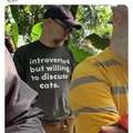 Introerted but willing to discuss cats