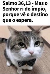 Se esse gatinho bíblico passar na mod, eu dou a minha casa (e o cu) para o primeiro que comentar - meme