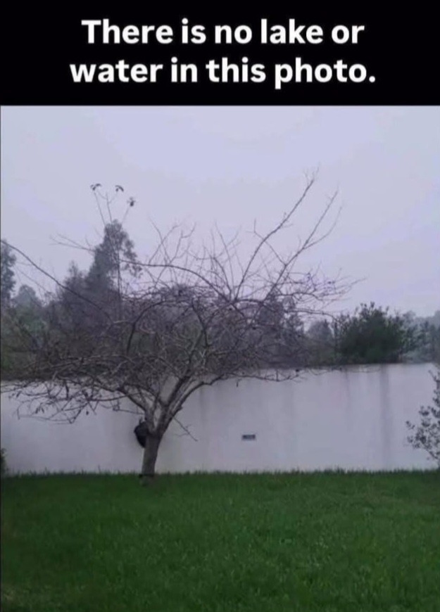 Insert water - meme