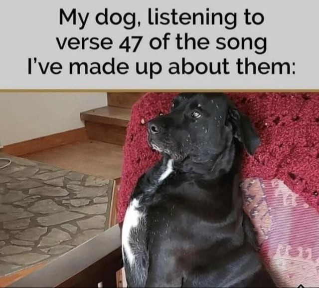 47 verses deep into the song I wrote about my dog - meme
