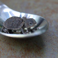 Tiny turtle UwU