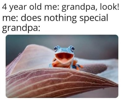 The grandparents - meme