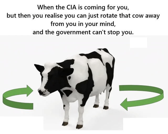Rotate the cow - meme