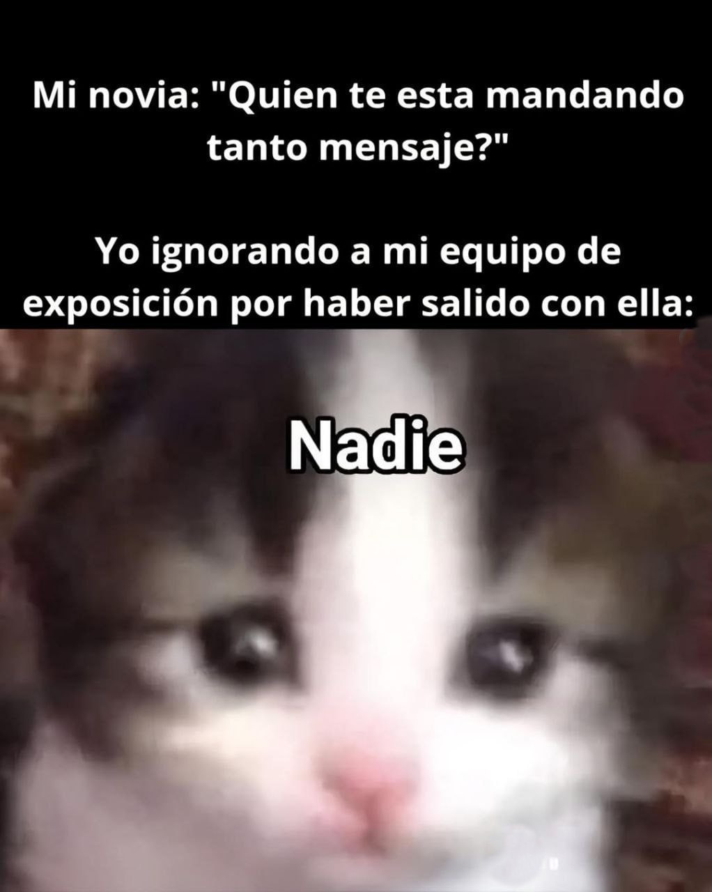 yo ignorando al grupo de exposición pa no quedar mal con mi novia - meme