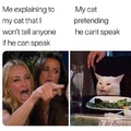 My cat can talk