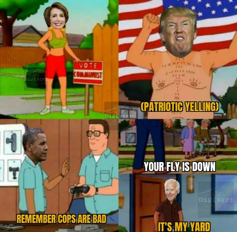 King of the hill is the best. - meme