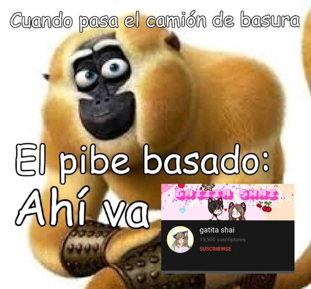 El pibe basado cuando pase el camión de basura B) - meme