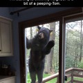 peeping tom