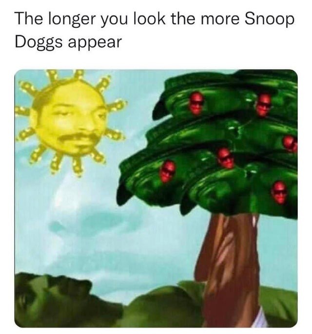 Snoop Doggs is everywhere - meme