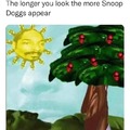 Snoop Doggs is everywhere