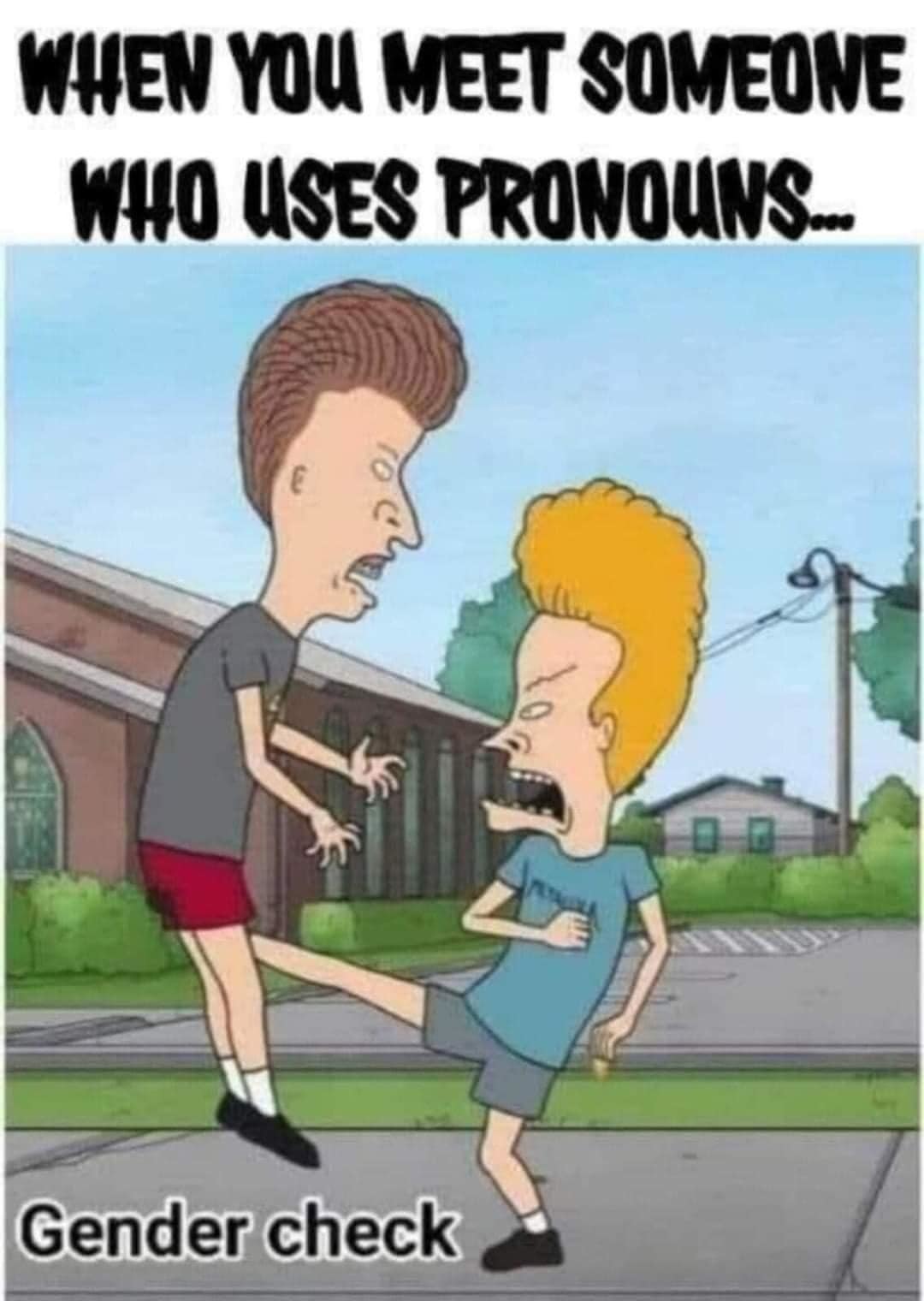 Pronouns - meme