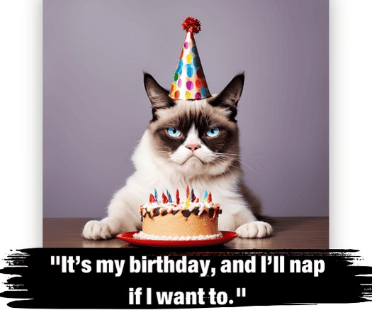 cat happy birthday meme for more cursedmeme.com