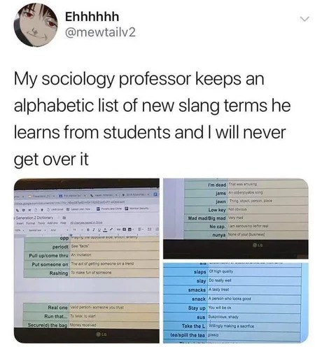 Sociology professor - meme