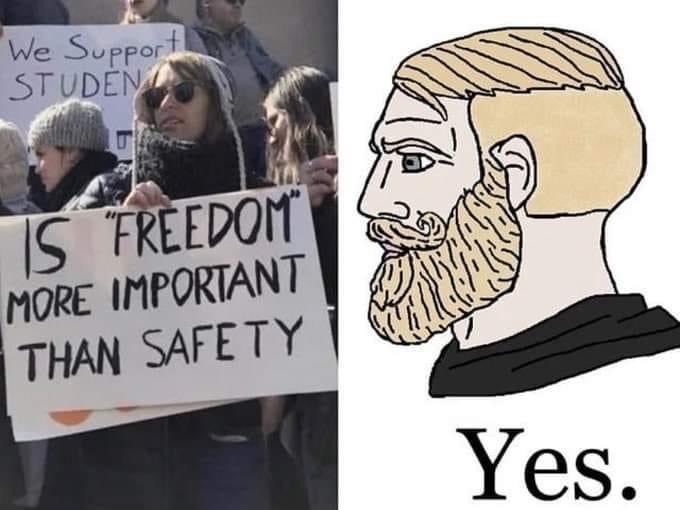 new tyrannical law, "for the children". Freedom is too high of a price to pay for momentary security - meme