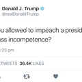 Impeach my penis