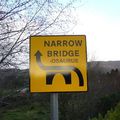 Narrow Bridge Osaurus