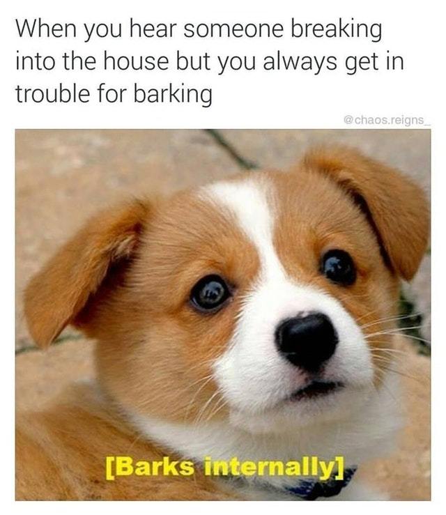 Barking internally - meme