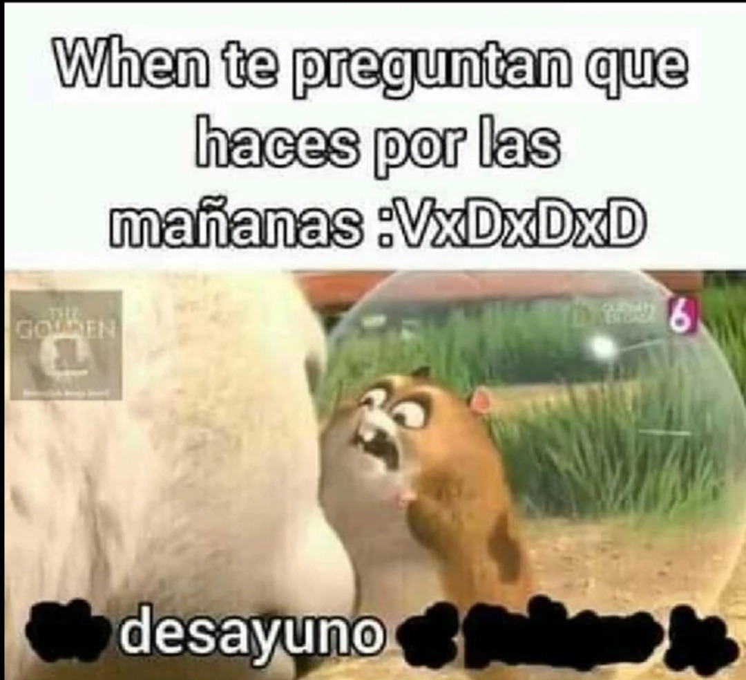 Xd - meme