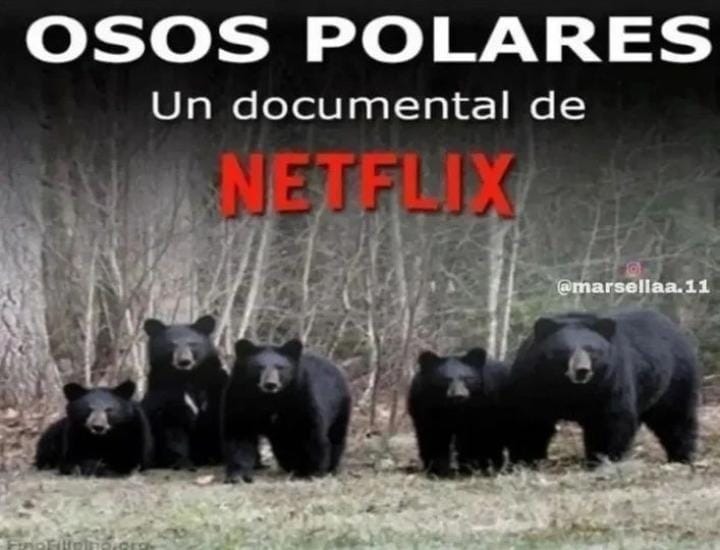 Netflix cuando los osos polares se extingan - meme
