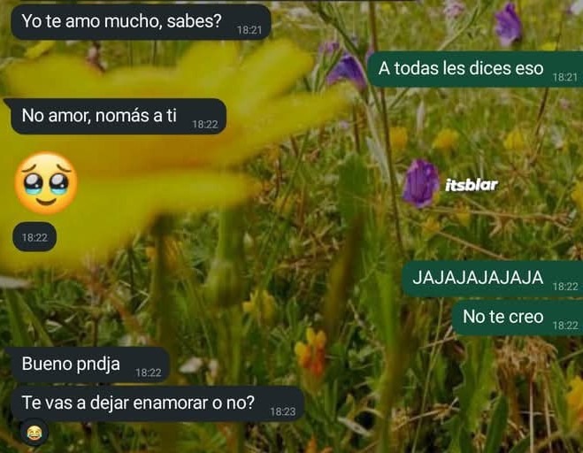 tratando de conseguir cita para San Valentín - meme