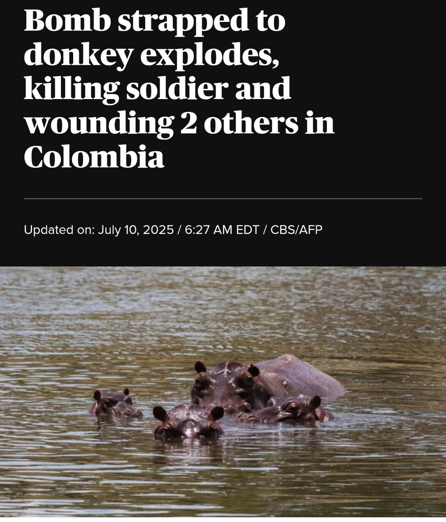 Colombia: bomb donkey attack leaves soldier dead - meme